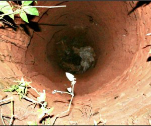 Ossada foi encontrada em poço com quase 5 metros de profundidade - Foto: Antonio Carlos Ferrari/Ferrari News