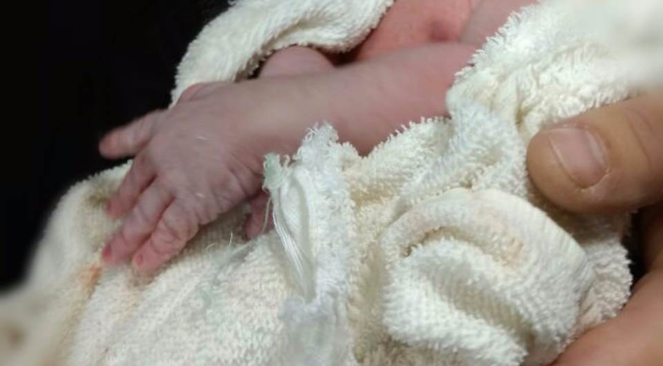 /Reprodução MASSANEWS