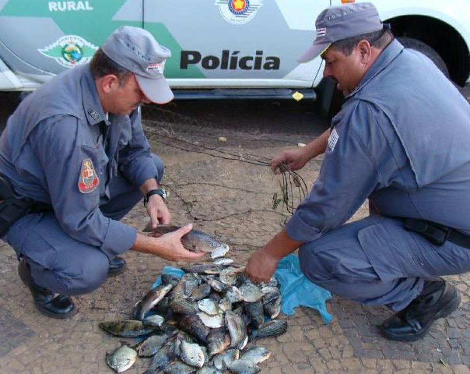 Os peixes apreendidos serão doados para entidades assistenciais do município. Foto: Araçatuba News