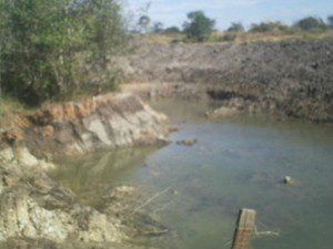 Tanque para piscicultura foi construído em áreaprotegida (Foto: Divulgação/PMA)