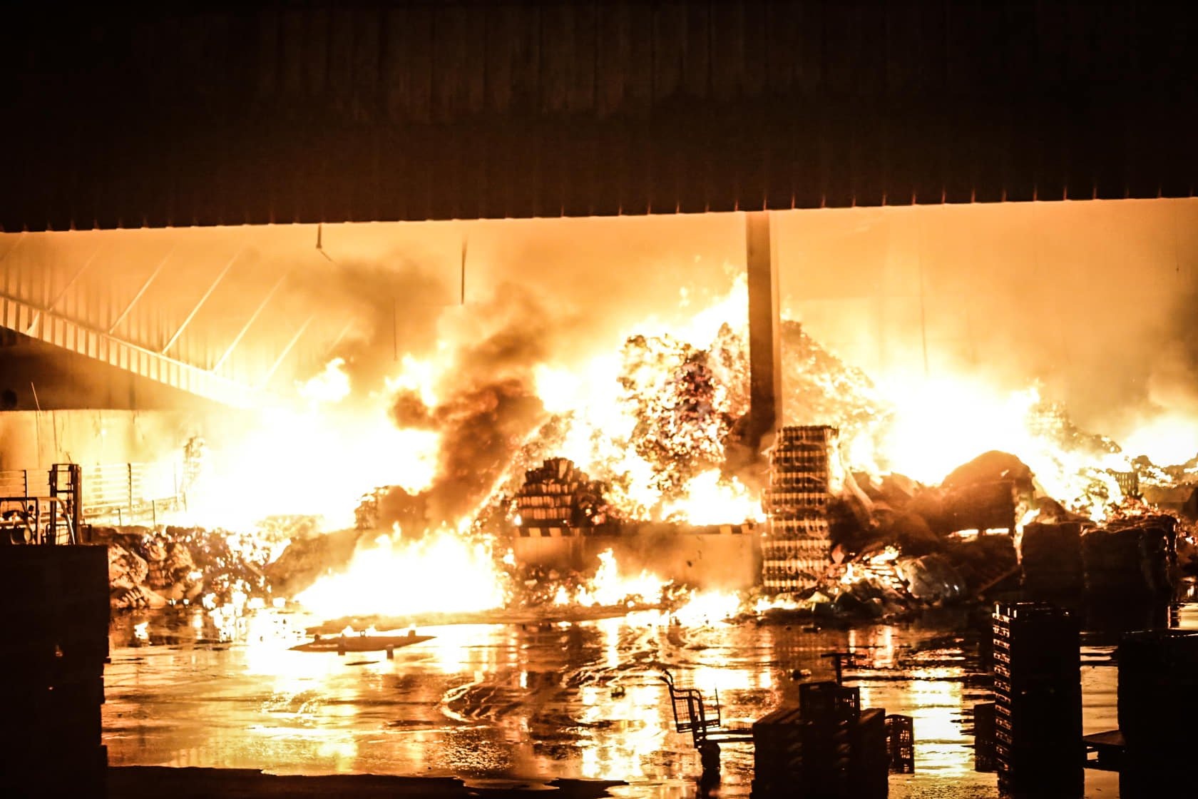 Foto: Henrique Arakaki