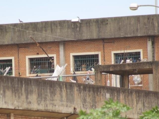 A partir deste falso perfil de advogado e pecuarista, o estelionatário passou então, a contatar as suas potenciais vítimas. Foto: Sejusp/MS.