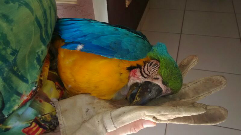 Foto: Rádio Caçula