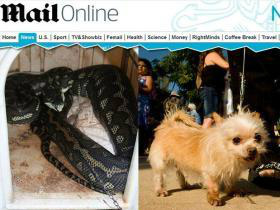 Foto: ReproduçãoAustraliana descobriu que seu cachorro tinha sido comido por uma cobra píton