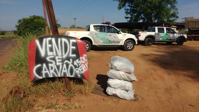 Carga foi encontrada em um comércio irregular em Castilho (SP) (Foto: Polícia Ambiental/ Divulgação)