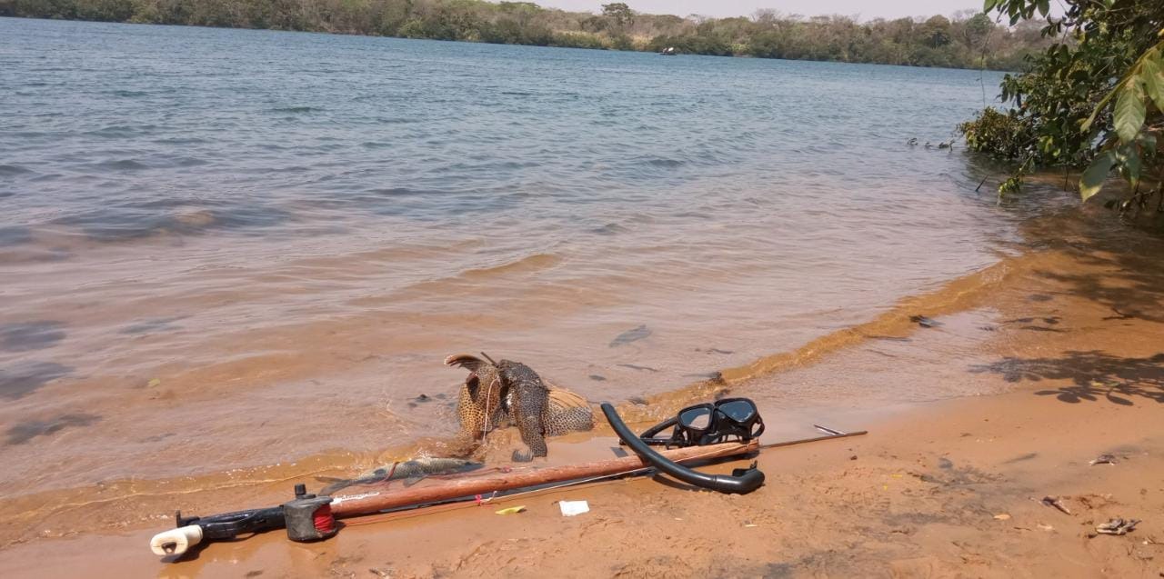 Fotos: Divulgação/PMA