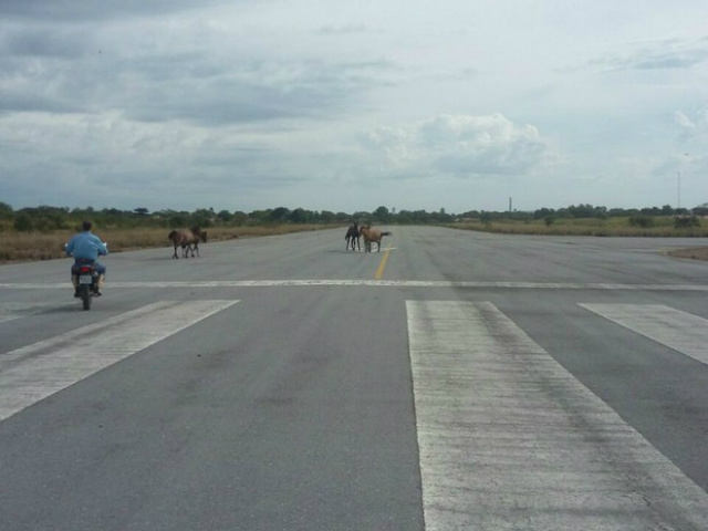 Homem como moto espanta os cavalos na pista do aeroporto de Porto Murtinho, na sexta-feira passada (24), para o pouso de avião (Foto: Edicarlos Oliveira/Arquivo Pessoal).