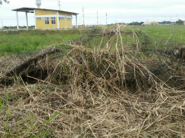 Cerca caída possibilita a entrada de animais na área do Aeroporto de Porto Murtinho, em Mato Grosso do Sul (Foto: Edicarlos Oliveira/Arquivo Pessoal)