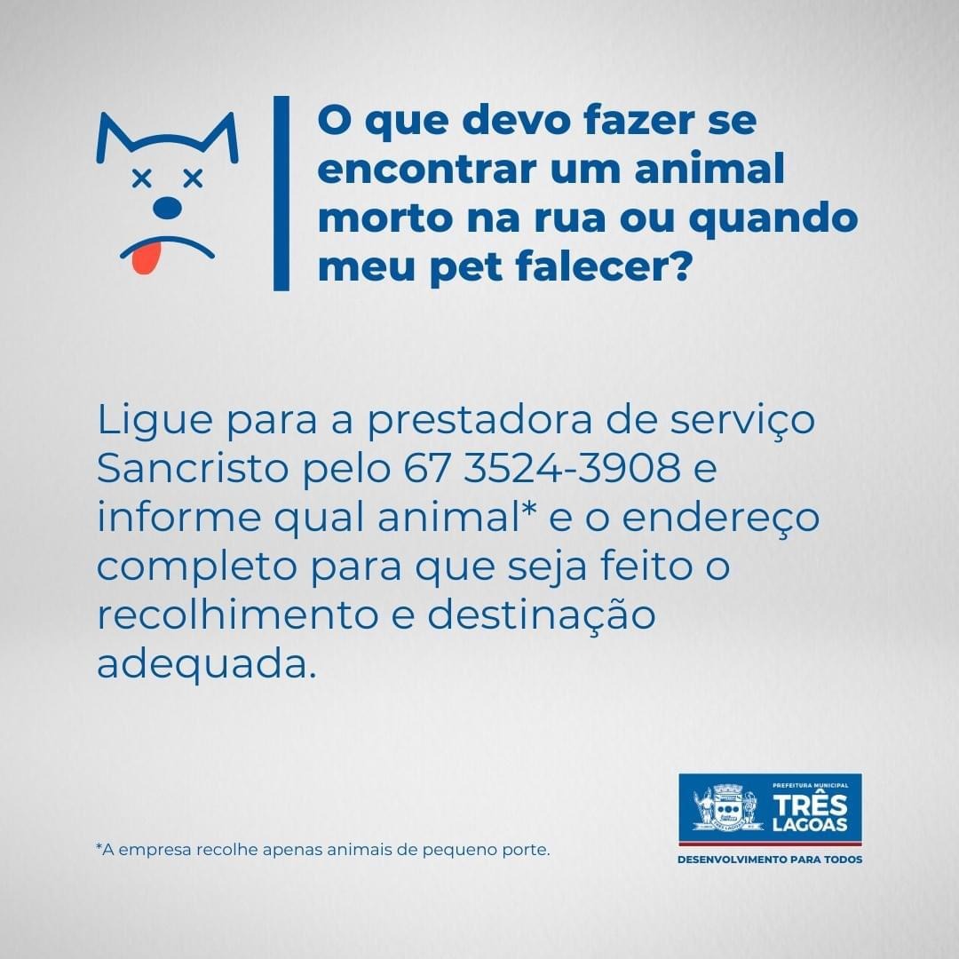 Imagem: Prefeitura Municipal de Três Lagoas