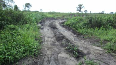 Obras ilegais passam por área de proteção ambiental de um curso d´água conhecido como “Vazante 39