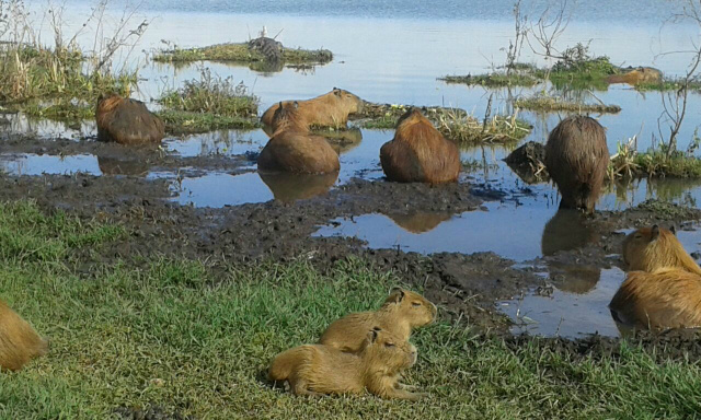 Fotos: Rádio Caçula