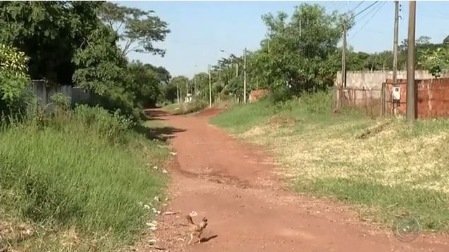 Jovem foi baleado por integrante de gangue na rua onde mora, em Andradina (Foto: Reprodução/TV TEM)