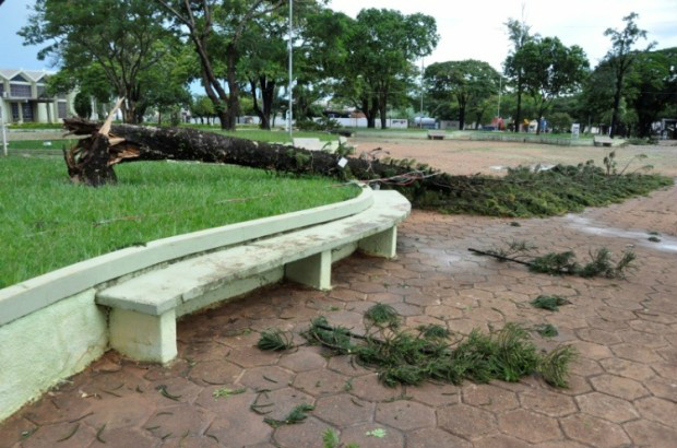 Árvores ficaram caídas por vários pontos da cidade de Nova Andradina 