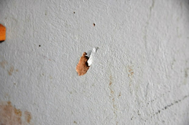 Um dos assaltantes efetuou um disparo, mas não feriu nenhuma das vítimas do assalto