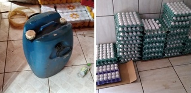 Ovos e um tambor de diesel apreendidos durante a ação. Foto: 1ªDP/TL.