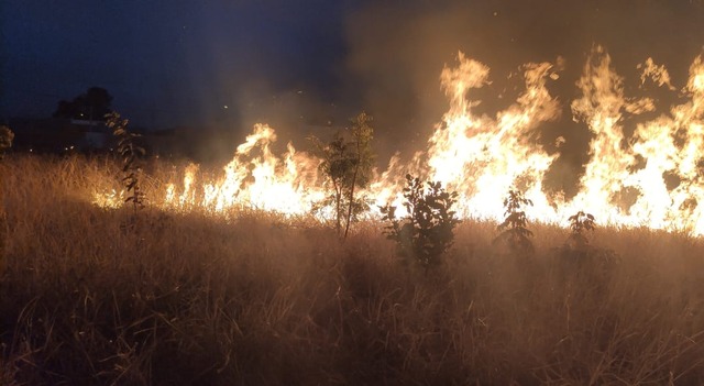 Fotos: Divulgação / 5ºGBM