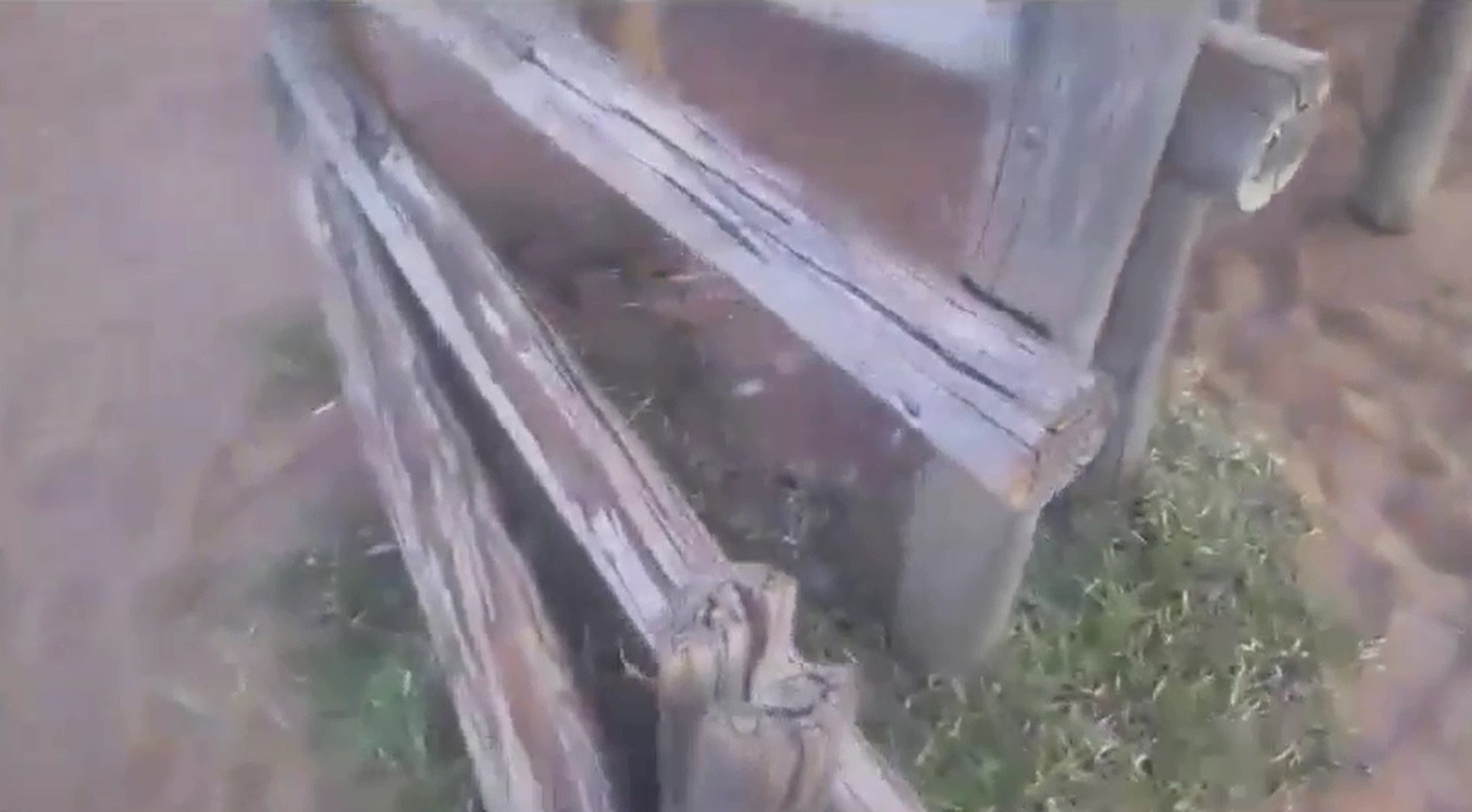 Reprodução Facebook