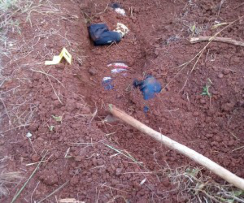 Local onde corpo foi encontrado - Foto: Porã News