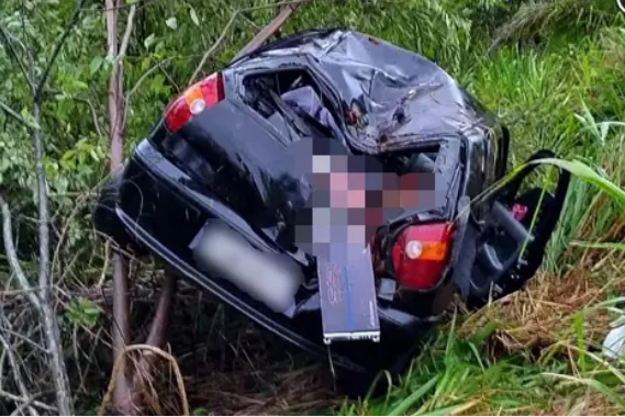 Carro saiu da pista e foi parar em área de mata (Foto: reprodução / site O Pantaneiro) 