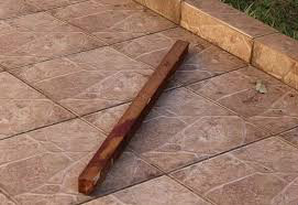 Ilustração/ Divulgação