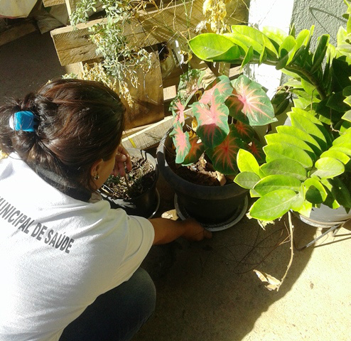 Foto: Assessoria