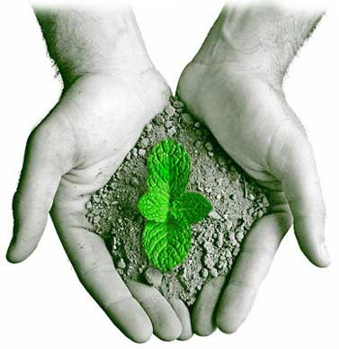 Foto de Divulgação