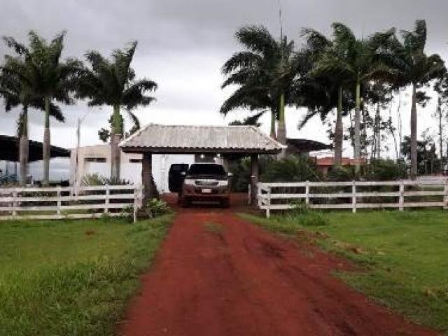 Ação da Senad em propriedade rural de Pedro Juan Caballero (Foto: Porã News)