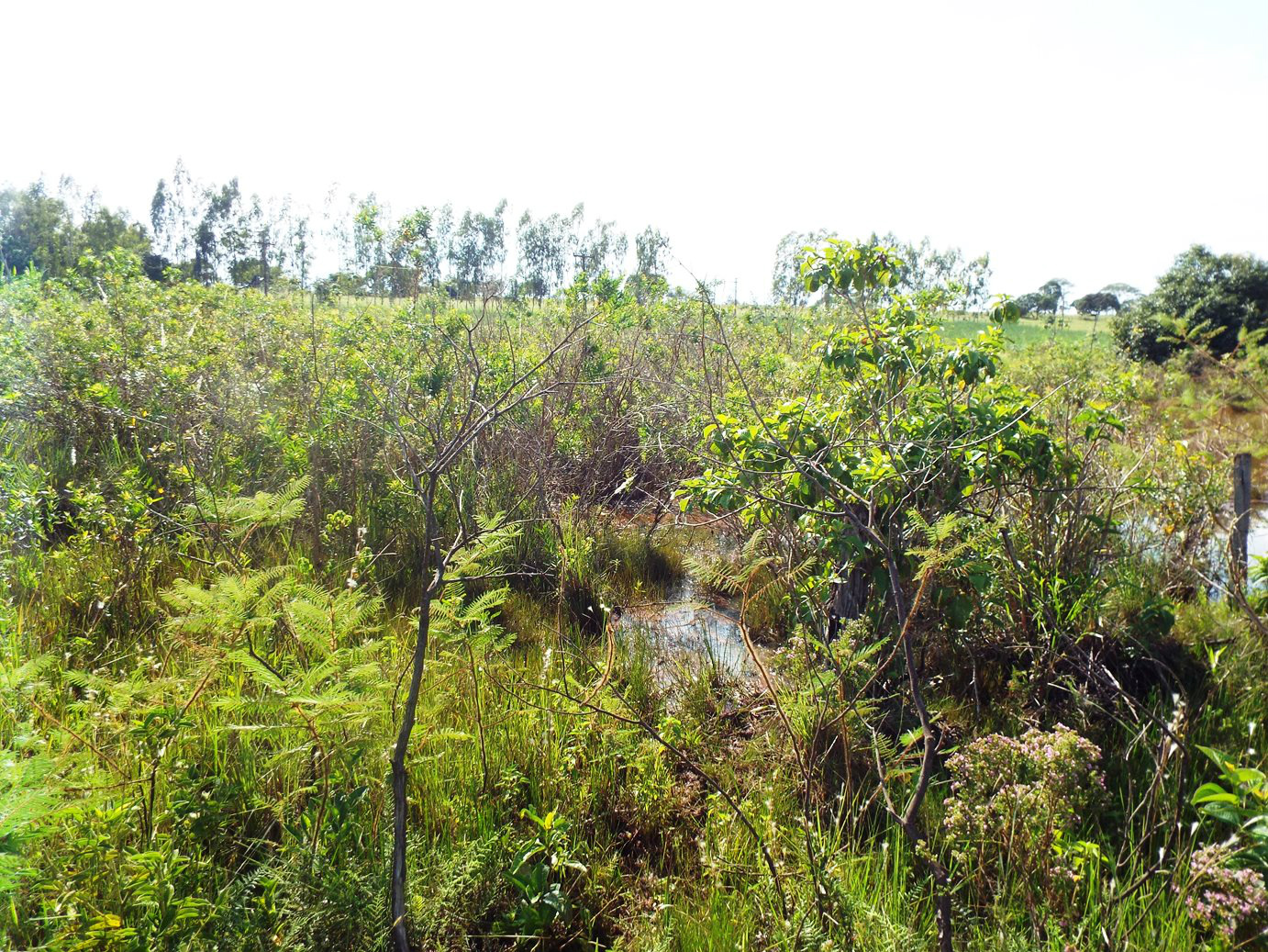 Créditos: Assessoria de Imprensa 