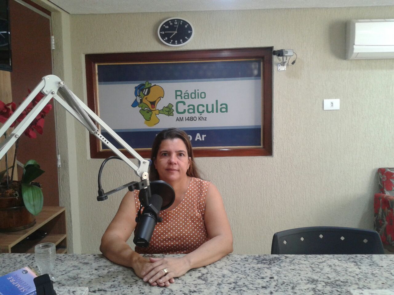 Prof. Dra. Inês Francisca Neves SilvaProfessora Adjunta UFMS-CPTL