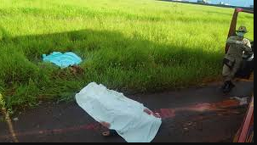 Reprodução/Sidney Bronka