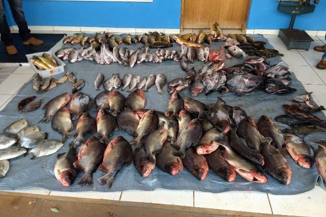 Na Piracema, PMA apreendeu 859 quilos de pescado - Divulgação/PMA