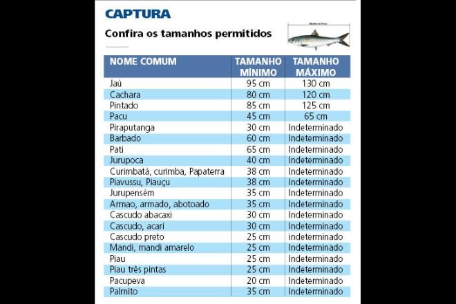 Confira os tamanhos permitidos - Infográfico: Arte/Correio do Estado