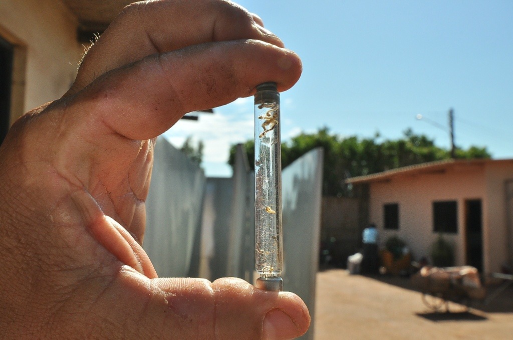 - Foto: Arquivo/Correio do Estado
