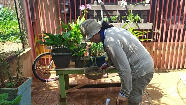 Foto: Divulgação/ Prefeitura de Campo Grande