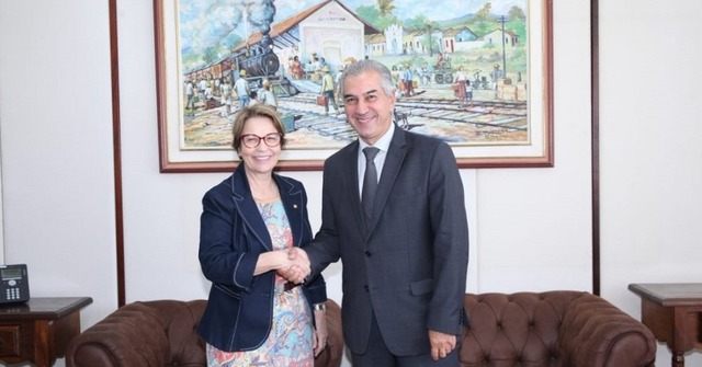 Governador Reinaldo Azambuja e a ministra da Agricultura Tereza Cristina se reúnem em Brasília — Foto: Governo do Estado/Reprodução
