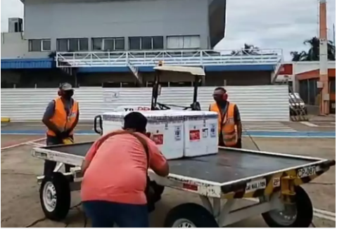 Chegada das vacinas da Fiocruz para distribuição nas 79 cidade de MS (Foto: Reprodução)