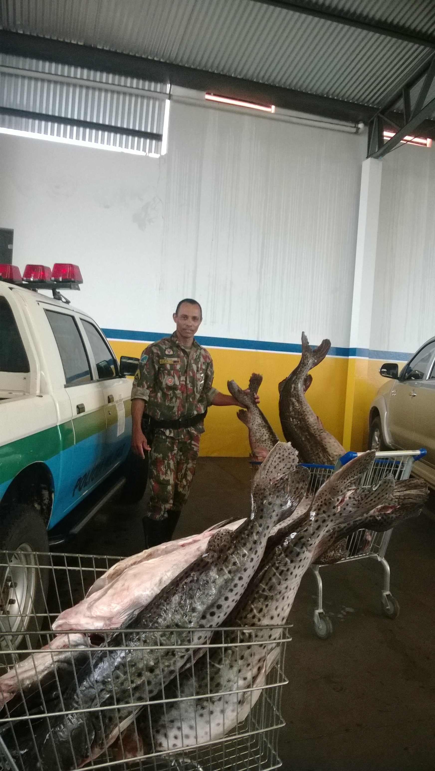 Créditos: Assessoria de Comunicação da Policia Militar Ambiental 