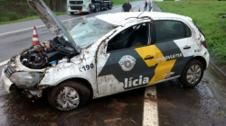 Imagem - Paparazzi News