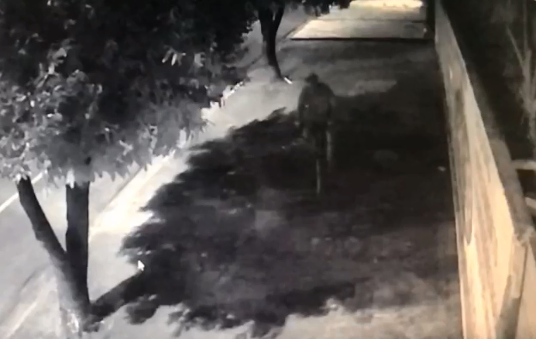 Imagens de câmeras de segurança de um estabelecimento vizinho mostram um homem se aproximando da agência pro volta das 04h57 - Foto: Reprodução / Rádio Caçula