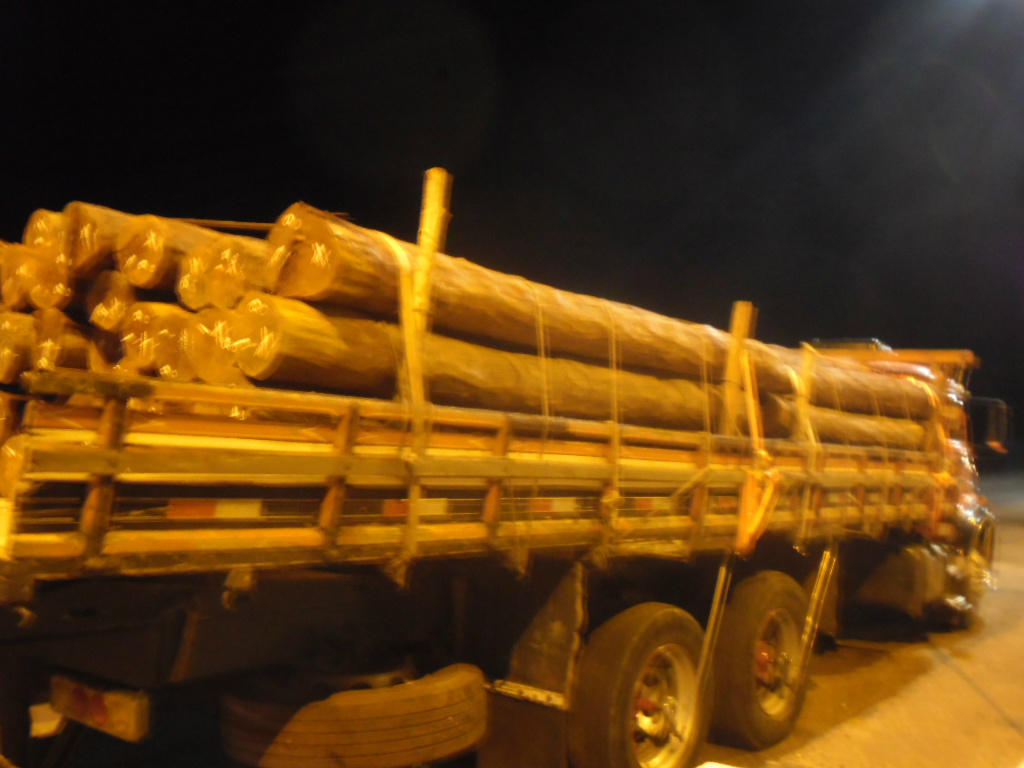 Caminhão carregado com aroeira (Foto Assessoria de Imprensa)