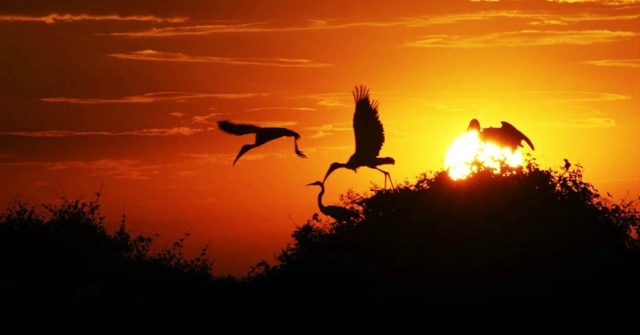 Foto: noticias.bol.uol.com.br.