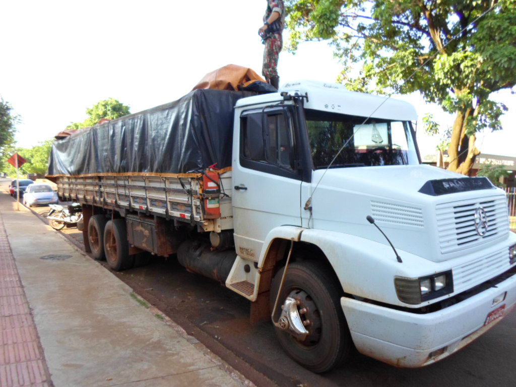 Caminhão com carga ilegal (Foto Assessoria de Imprensa)