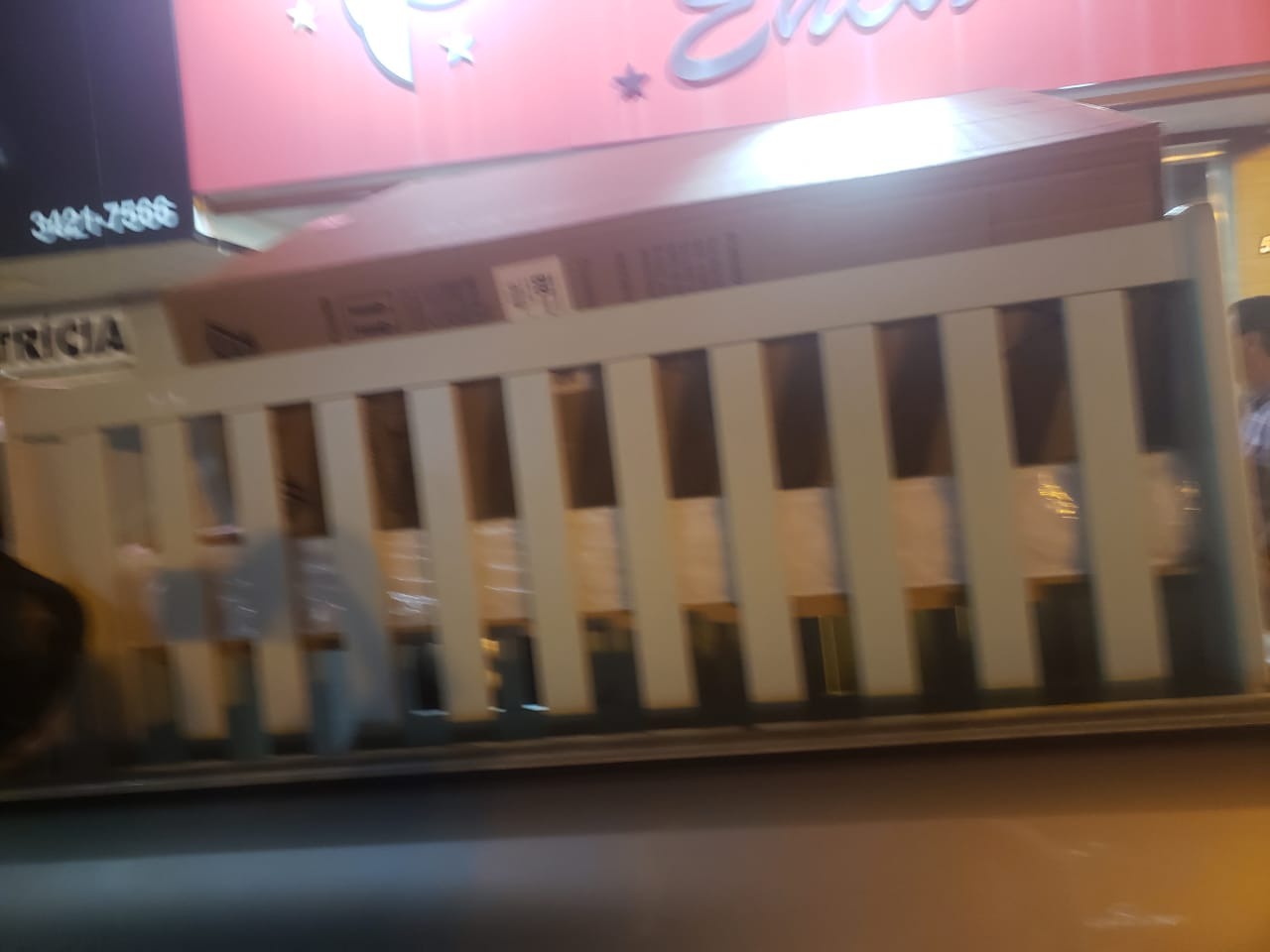 Estelionatária é presa pela Polícia Militar Ambiental em Dourados (MS). Foto: Policia Militar Ambiental.