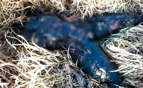O corpo foi encontrado há 22 dias no lixão de Campo Grande.Foto: Divulgação