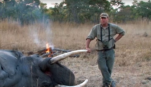 Theunis Botha, em vídeo de divulgação de seu trabalho (Foto: Theunis Botha/Youtube/Reprodução)