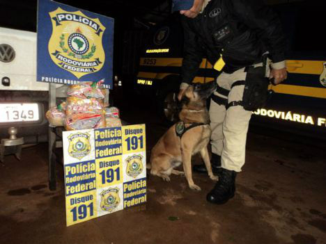 PRF apreende pacotes de cocaína pura que seriam levados para o exterior. A operção contou com cães farejadores. Foto: PRF