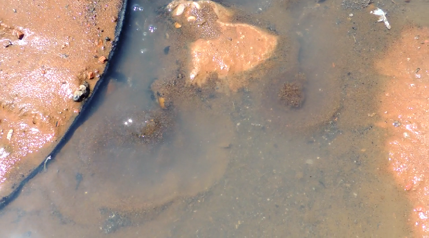 Esgoto jorra a céu aberto em Três lagoasFotos : Rádio Caçula