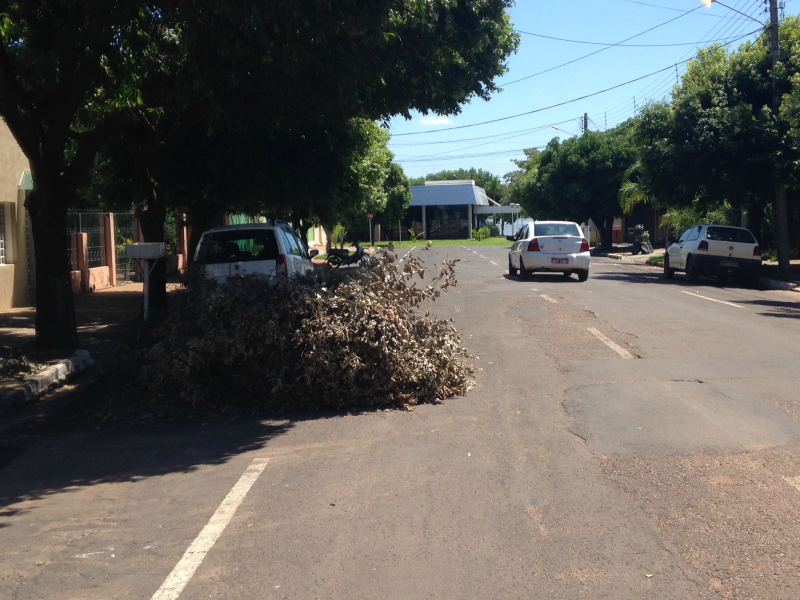 Foto: Repórter News