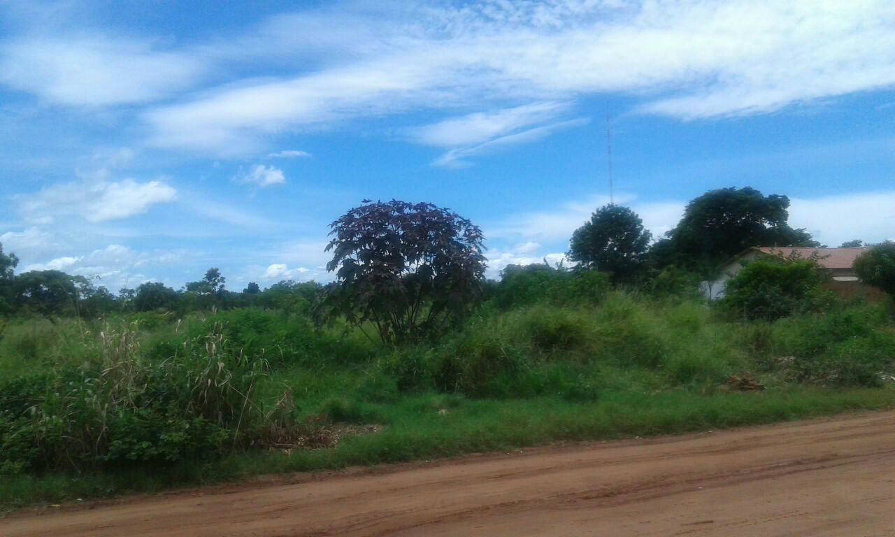 Rua Milton Lopes de Oliveira (Foto Rádio Caçula)