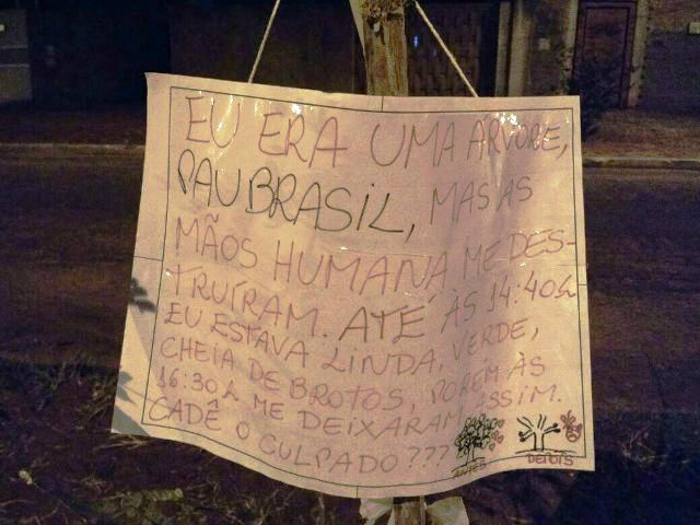 (Fotos: Rádio Caçula).